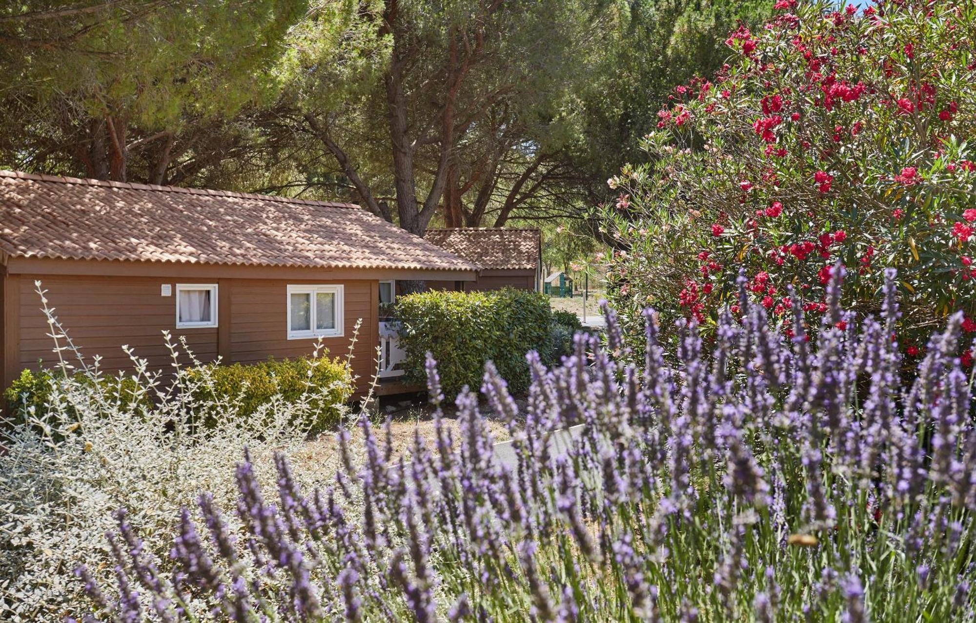 Residence Odalys Shangri-La Carnoux-en-Provence Kültér fotó